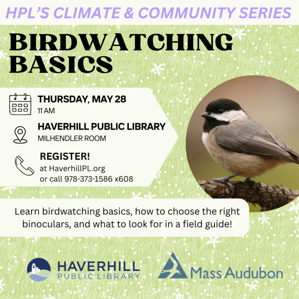 chickadee on flyer for Mass Audubon's Birdwatching Basics program.